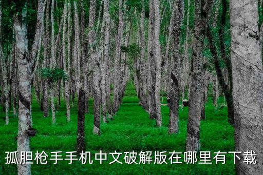 手游版孤胆枪手怎么下载，怎么可以下载手机版孤胆枪手征兵