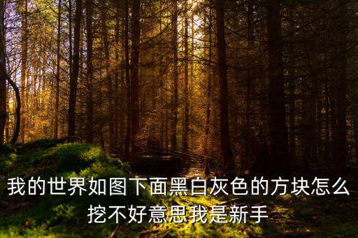 我的世界如图下面黑白灰色的方块怎么挖不好意思我是新手