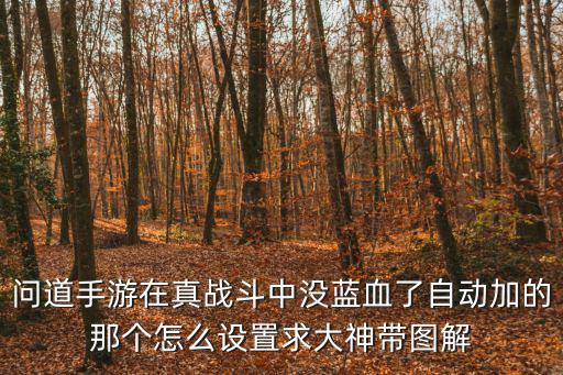 问道手游在真战斗中没蓝血了自动加的那个怎么设置求大神带图解