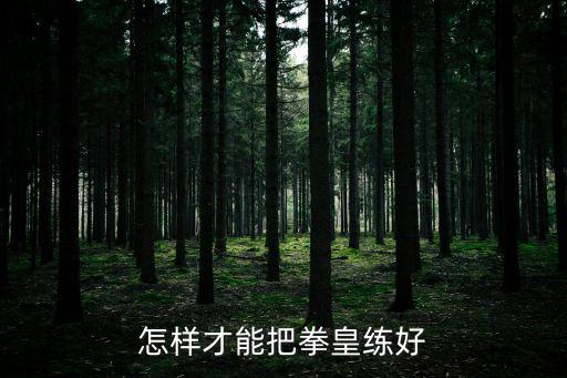 怎样才能把拳皇练好