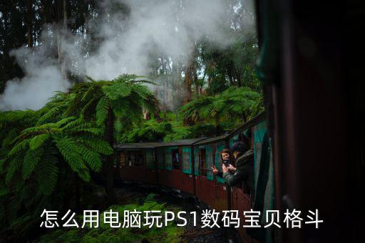 怎么用电脑玩PS1数码宝贝格斗