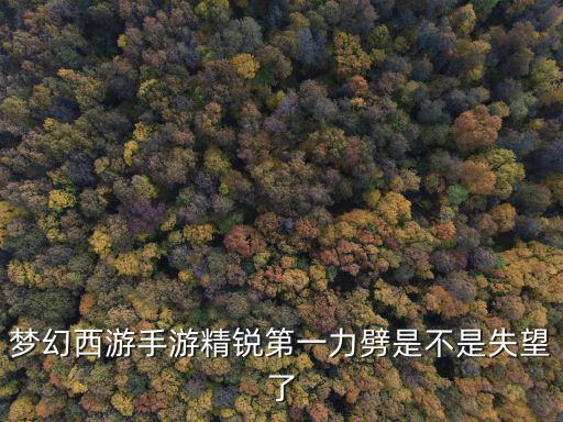 梦幻西游手游精锐第一力劈是不是失望了