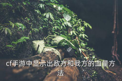 cf手游中显示出敌方和我方的血量方法