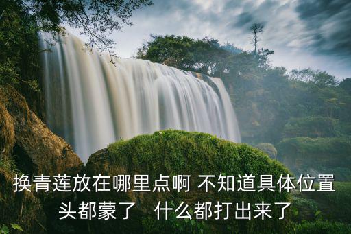 换青莲放在哪里点啊 不知道具体位置头都蒙了 什么都打出来了