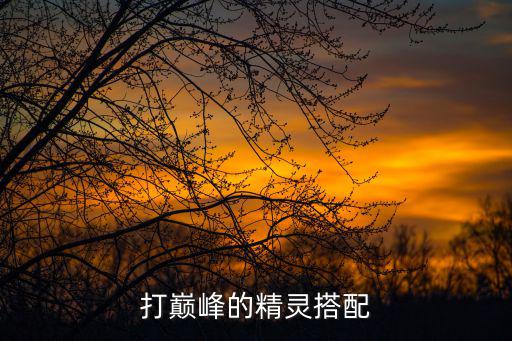 打巅峰的精灵搭配