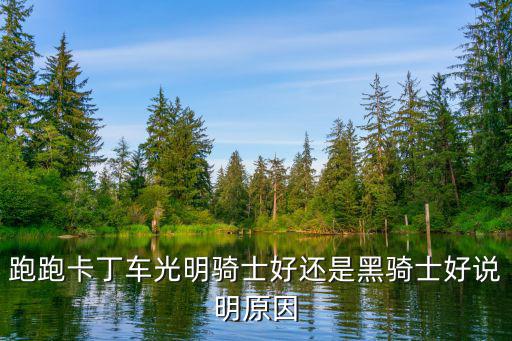 跑跑卡丁车光明骑士好还是黑骑士好说明原因