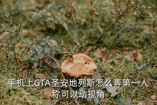 手机上GTA圣安地列斯怎么弄第一人称可以动视角