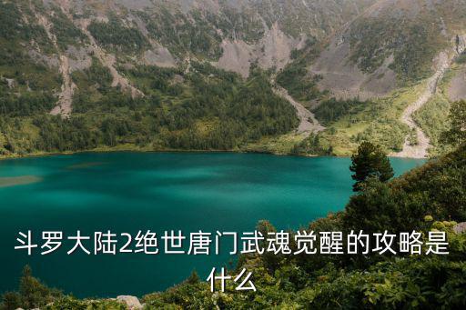 斗罗大陆2绝世唐门武魂觉醒的攻略是什么