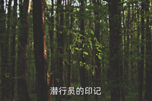 潜行员的印记