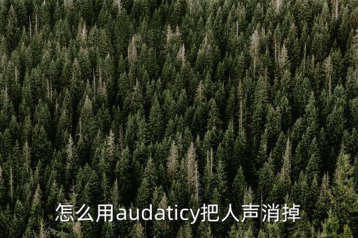 怎么用audaticy把人声消掉