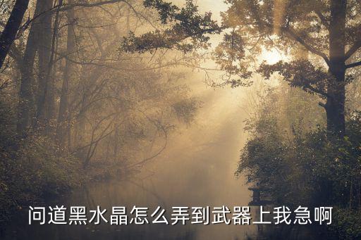 问道黑水晶怎么弄到武器上我急啊