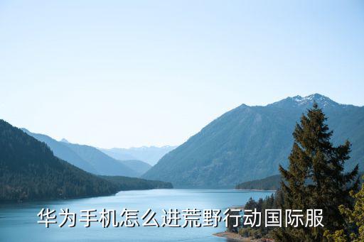 怎么进国际服的新模式手游，新号怎么进入游戏