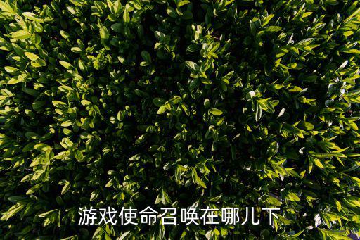 游戏使命召唤在哪儿下