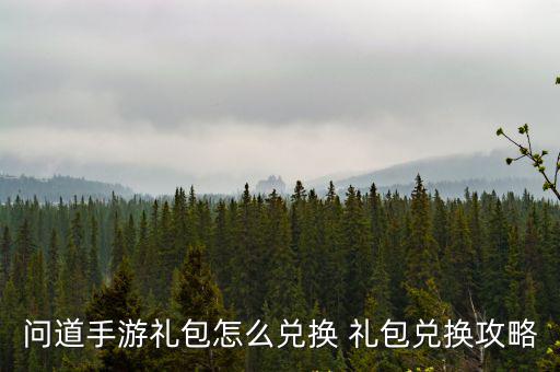 问道手游礼包怎么兑换 礼包兑换攻略