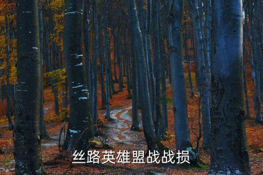 丝路英雄盟战战损