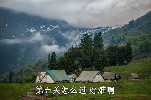 第五关怎么过 好难啊