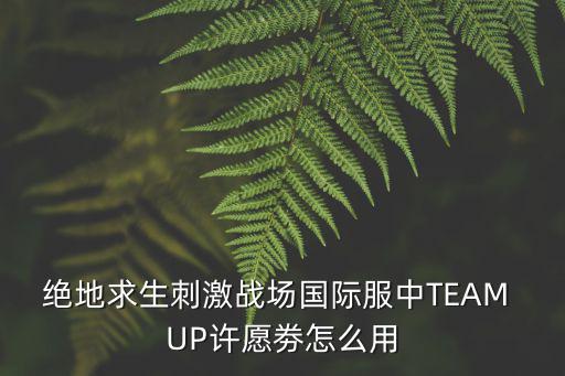 绝地求生刺激战场国际服中TEAM UP许愿劵怎么用