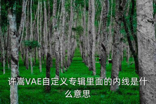 方舟手游冰刺地牢的墙怎么过，许嵩VAE自定义专辑里面的内线是什么意思