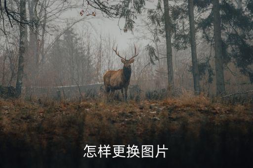 怎样更换图片
