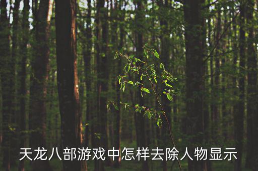 天龙八部游戏中怎样去除人物显示