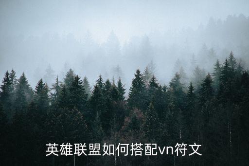 英雄联盟如何搭配vn符文