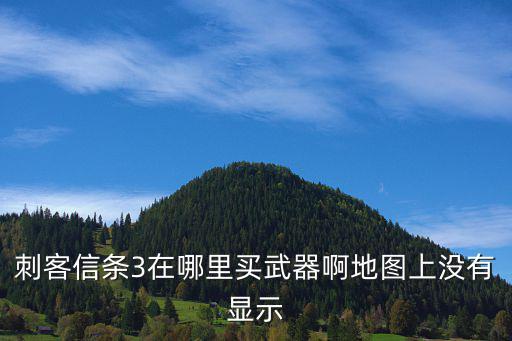 手游刺客信条怎么购买装备，刺客信条2怎么买东西