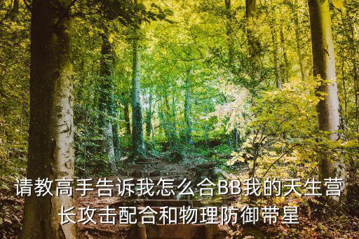 请教高手告诉我怎么合BB我的天生营长攻击配合和物理防御带星