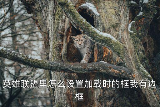英雄联盟里怎么设置加载时的框我有边框