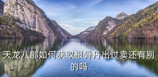 天龙八部如何获取根骨丹出过卖还有别的吗