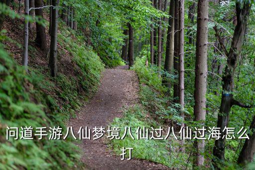 问道手游八仙梦境八仙过八仙过海怎么打