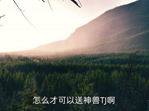 大话手游送神兽材料怎么送，大话西游里的神兽怎么可以得啊
