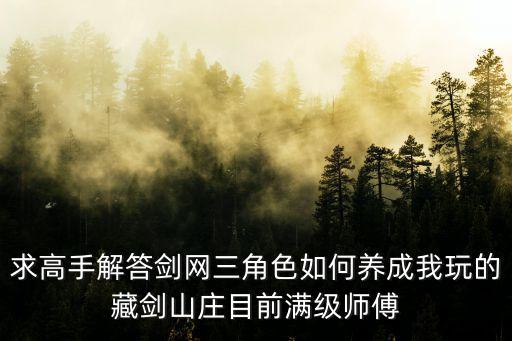 求高手解答剑网三角色如何养成我玩的藏剑山庄目前满级师傅