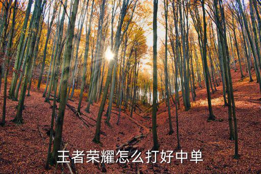 王者荣耀怎么打好中单