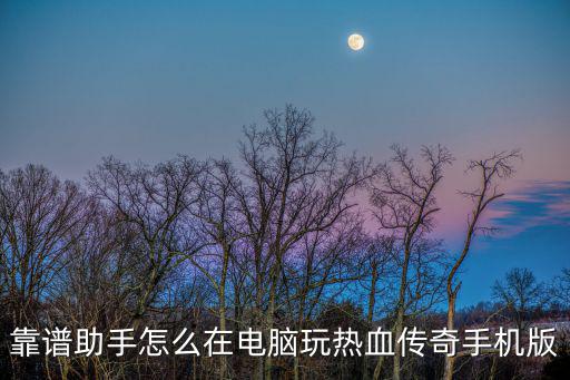 靠谱助手怎么在电脑玩热血传奇手机版