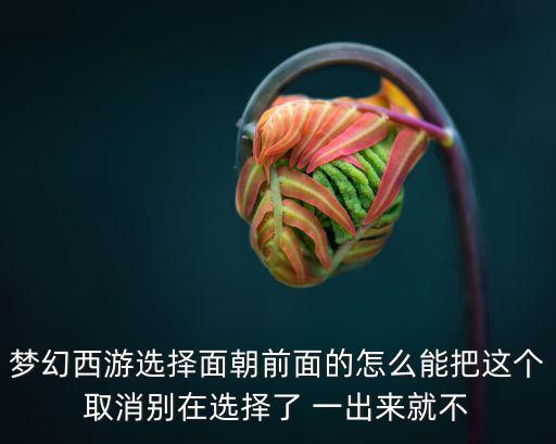 梦幻手游怎么取消挂机，梦幻西游的防挂机系统如何取消