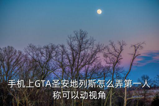 真实赛车3手游怎么开第一人称，真实赛车3如何将比赛车位调到第一