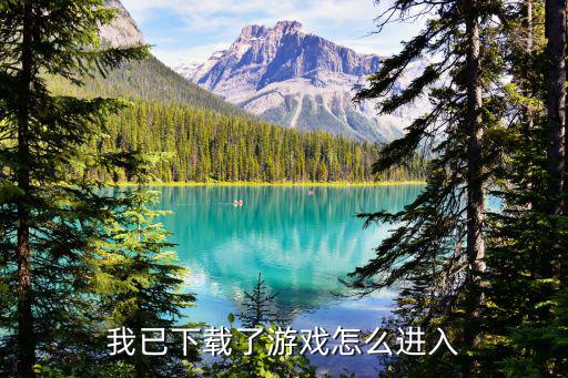 对峙二手游安卓怎么登录，我已下载了游戏怎么进入
