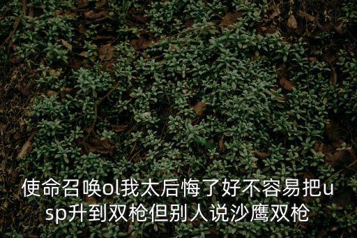 使命召唤ol我太后悔了好不容易把usp升到双枪但别人说沙鹰双枪