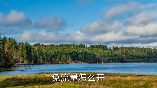 免流量怎么开