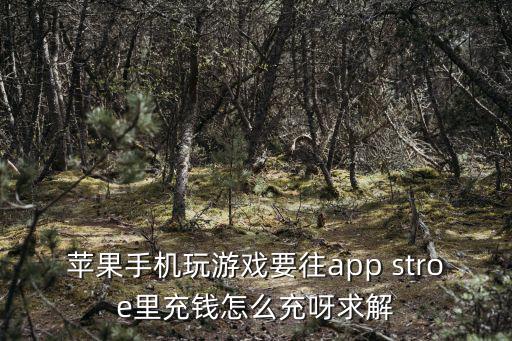 苹果手机玩游戏要往app stroe里充钱怎么充呀求解