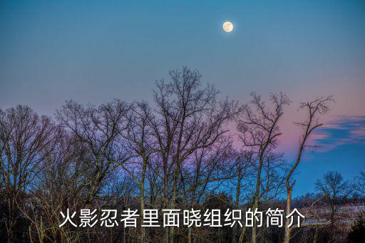 火影忍者里面晓组织的简介