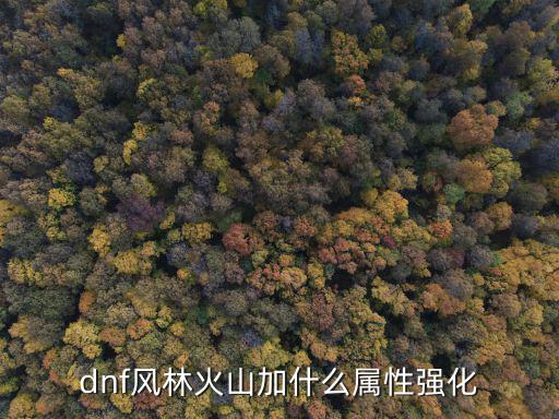 dnf风林火山加什么属性强化
