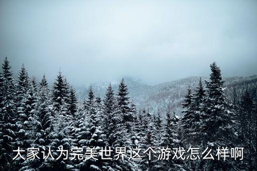 大家认为完美世界这个游戏怎么样啊