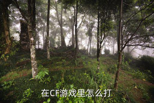 在CF游戏里怎么打