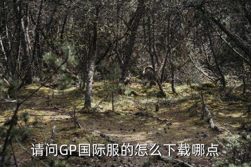 请问GP国际服的怎么下载哪点