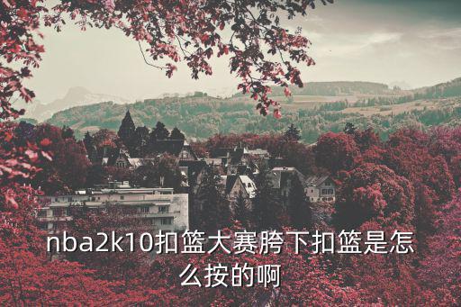 nba2k10扣篮大赛胯下扣篮是怎么按的啊