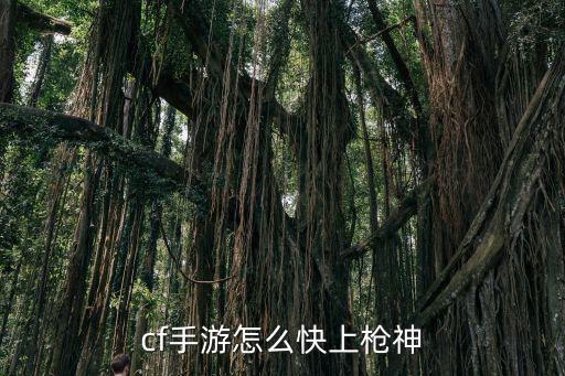 cf手游怎么快上枪神