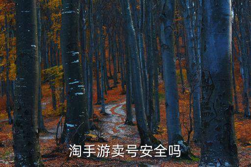 淘手游卖号安全吗