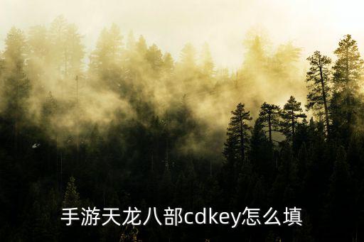 手游天龙八部cdkey怎么填