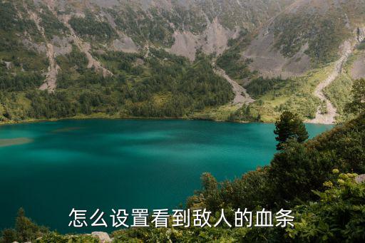 怎么设置看到敌人的血条